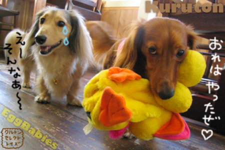 20101107c.jpg
