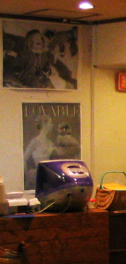 20070306a.jpg