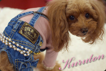 20091215aa.jpg