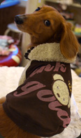 20091219dd.jpg