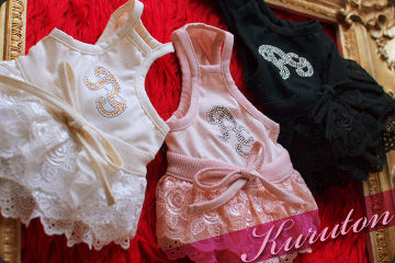 20100123d.jpg
