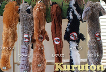 20100319e.jpg