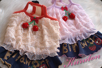 20100321a.jpg