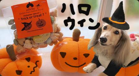 20101012x.jpg