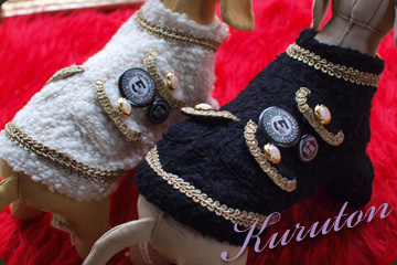 20101024a.jpg