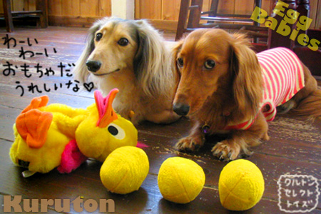 20101107b.jpg