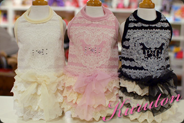 20101211c.jpg