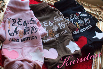 20101219e.jpg