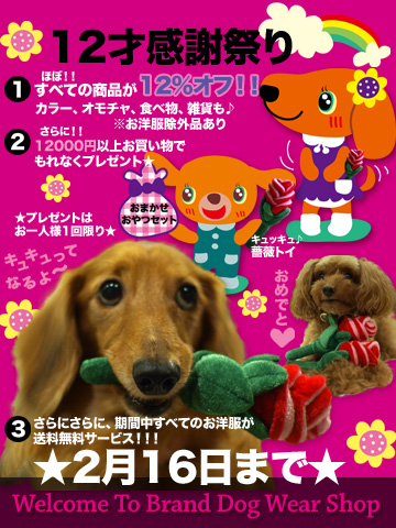 20110209a.jpg