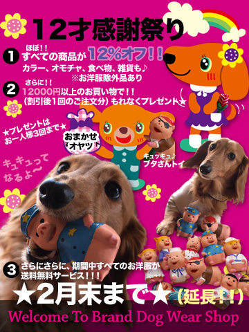 20110216b.jpg