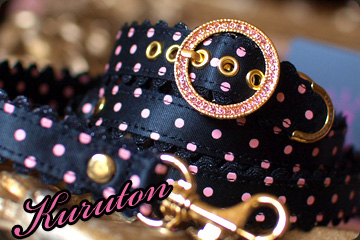20110227c.jpg