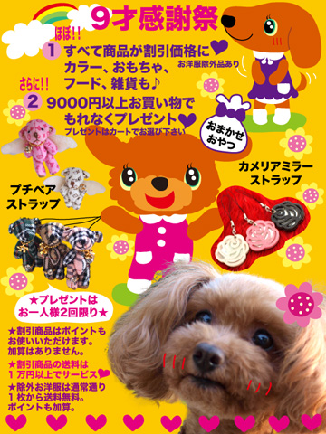20110603a.jpg