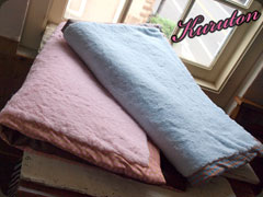 20110722d.jpg