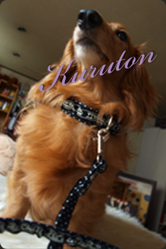 20110730.jpg
