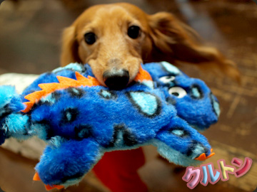 20111209d.jpg