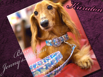 20120530b.jpg