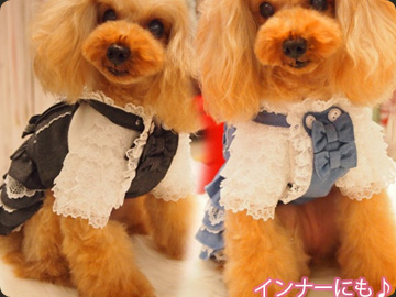 20130825c.jpg