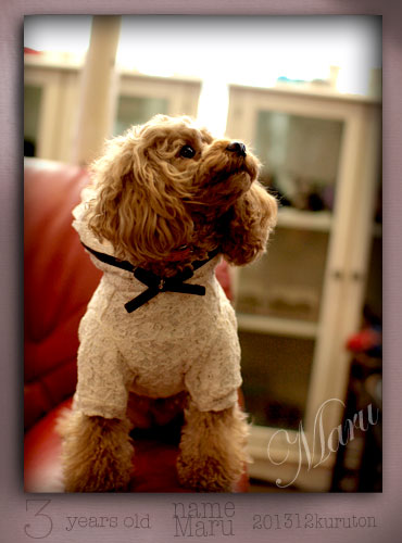 20140124a.jpg