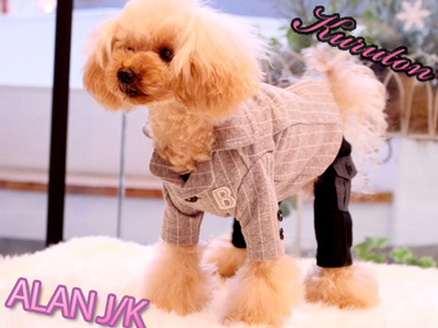 20140209f.jpg
