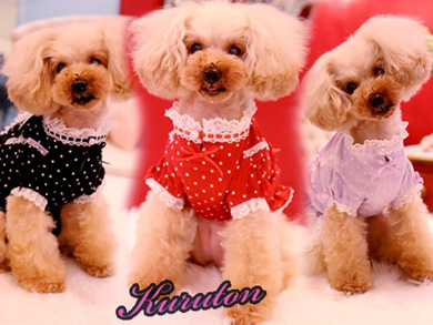 20140707a.jpg