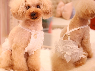 20140707e.jpg