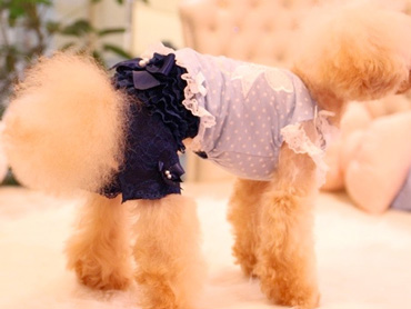 20140707g.jpg