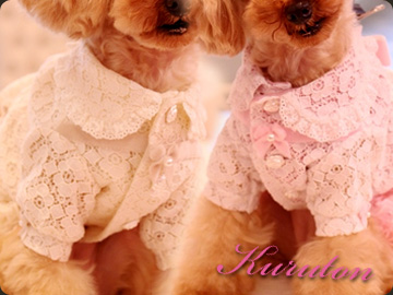 20140723e.jpg