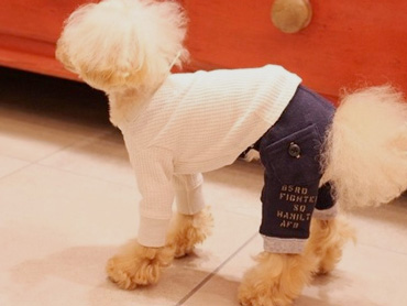 20140825d.jpg