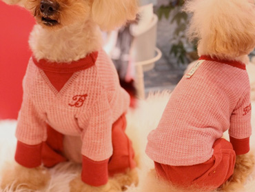 20140825e.jpg