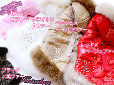 20141019f.jpg