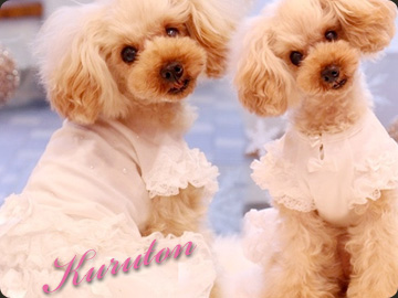 20141209c.jpg