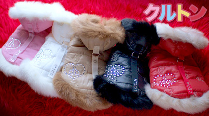 20141228a.jpg