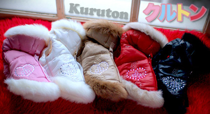 20141228c.jpg
