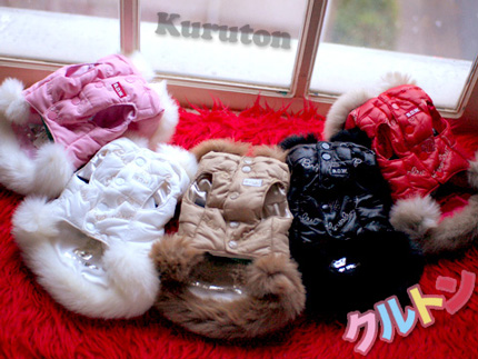 20141228d.jpg