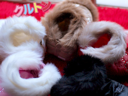 20141228f.jpg
