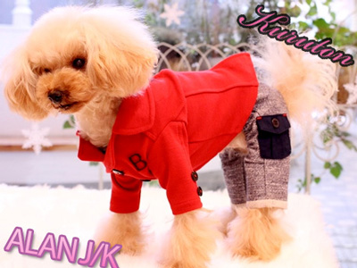 20150209e.jpg