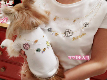 20150303b.jpg