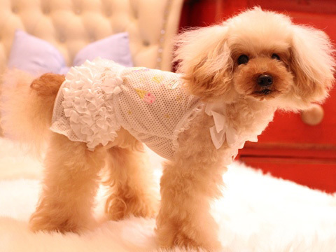 20150701g.jpg