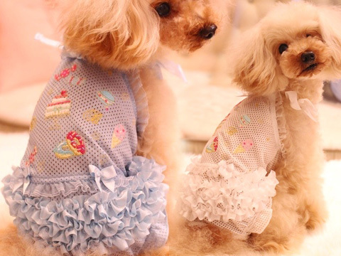 20150701i.jpg