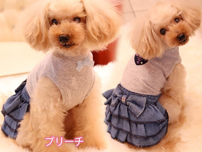 20150803g.jpg
