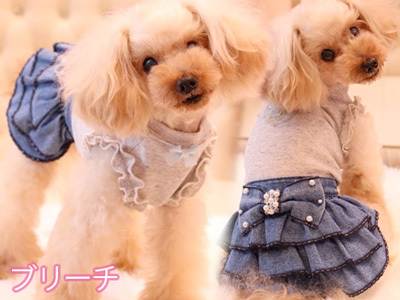 20150803j.jpg