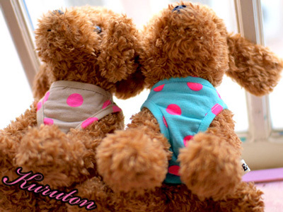20150905b.jpg