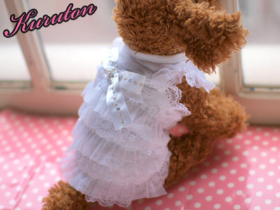 20150905j.jpg