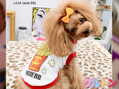 20150906g.jpg