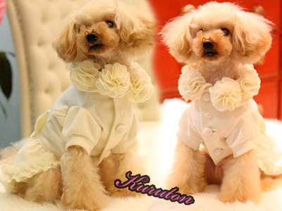 20150916h.jpg