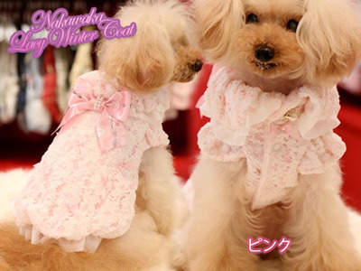 20160929d.jpg