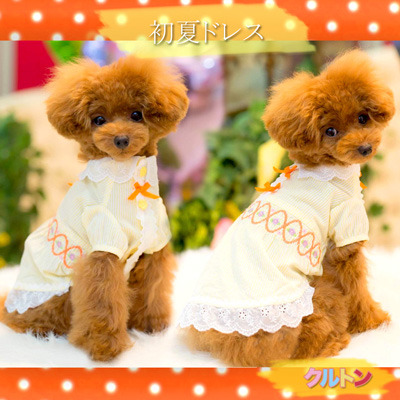 20190319cc.jpg