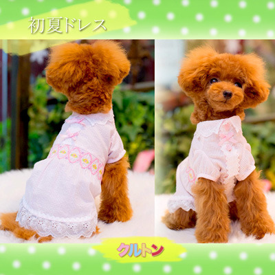 20190319ff.jpg