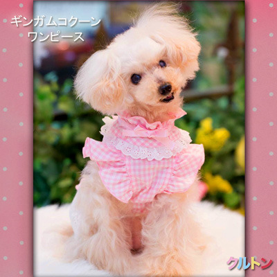 20190325gg.jpg