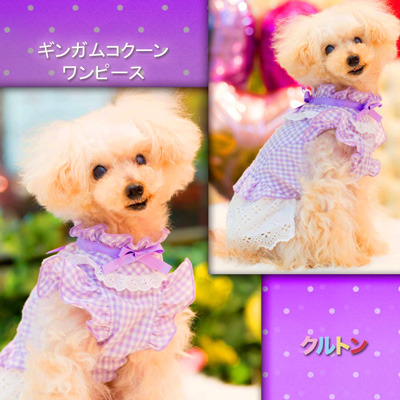 20190325hh.jpg